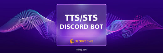 bbirdg AI - Documentation | Discord Bot