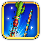 Baile Cue Bundle | 8 Ball Pool
