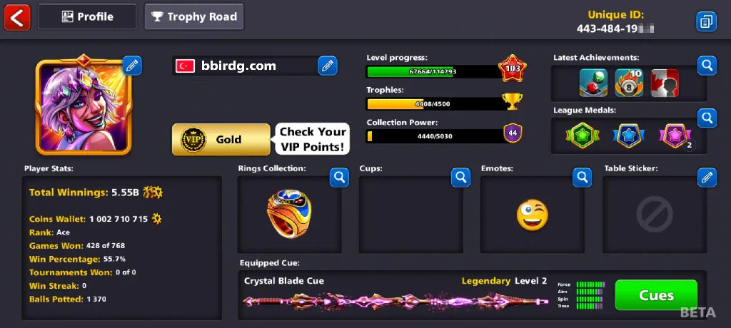 1 Billion Coins, 13 Legendary Cues | Elite Miniclip Account | 8 Ball Pool - BlackBird Store