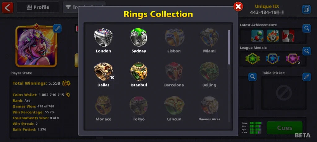 1 Billion Coins, 13 Legendary Cues | Elite Miniclip Account | 8 Ball Pool - BlackBird Store