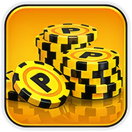 Baile Cue Bundle | 8 Ball Pool