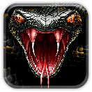 Black Viper