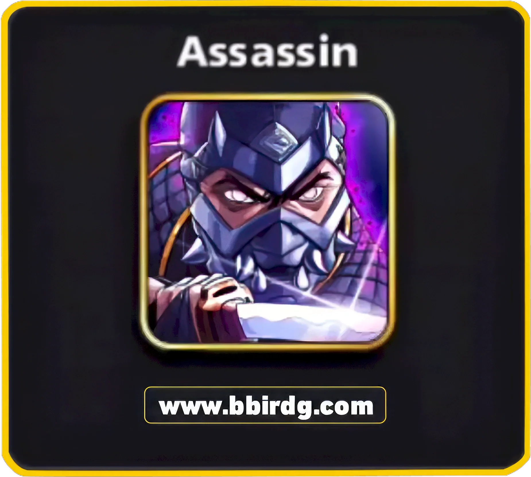 5 Avatars Bundle: Assassin Bald Eagle Beaming Yellow Beast Black Viper | 8 Ball Pool