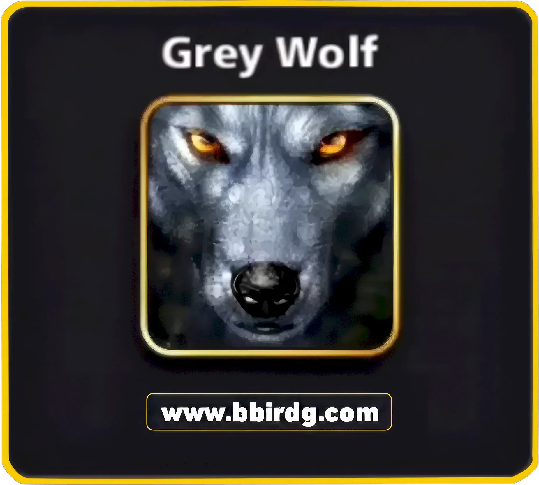 5 Avatars Bundle: Fiery Orange Glowing Green Grey Wolf Harvester Hunter | 8 Ball Pool