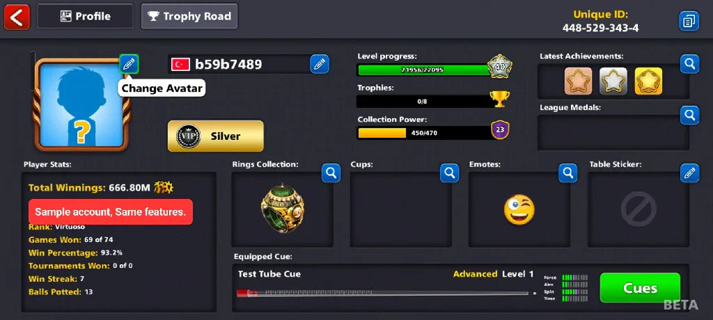 300 Million Coins 6000 Cash | Premium Miniclip Account | 8 Ball Pool