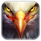 Águila calva